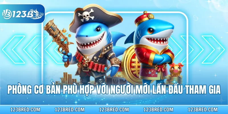 Phòng cơ bản phù hợp với người mới lần đầu tham gia